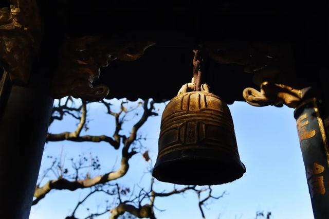 佛教一花一世界一树一菩提，禅语10句，写尽人间贪嗔痴欲