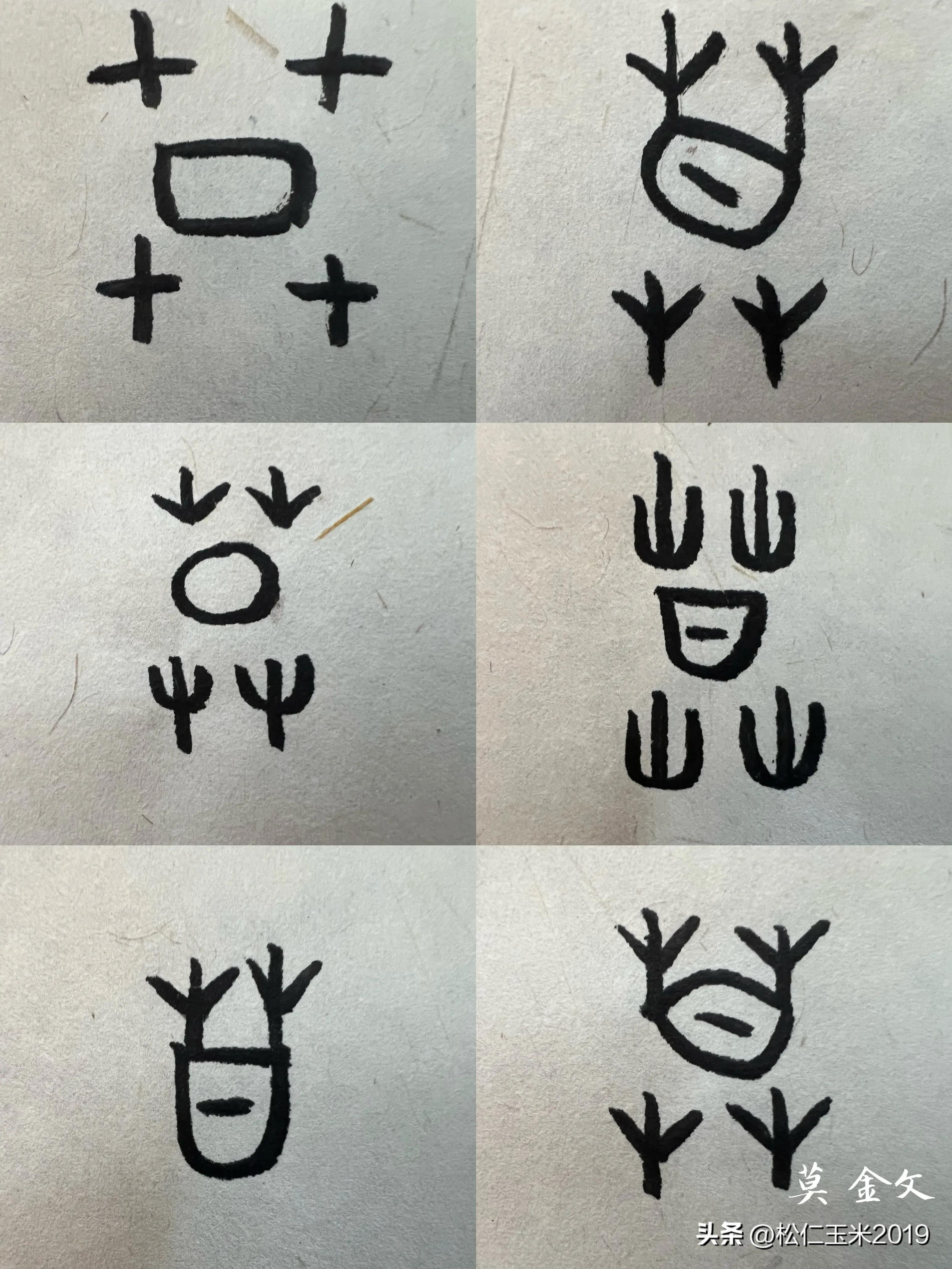 艸怎么读什么意思(有趣的汉字之"慕"屮,艸,茻都是草)