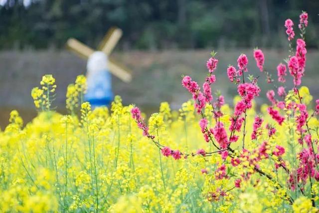 韶关旅游景点大全，韶关旅游景点有那些（“有山千丈色如丹）