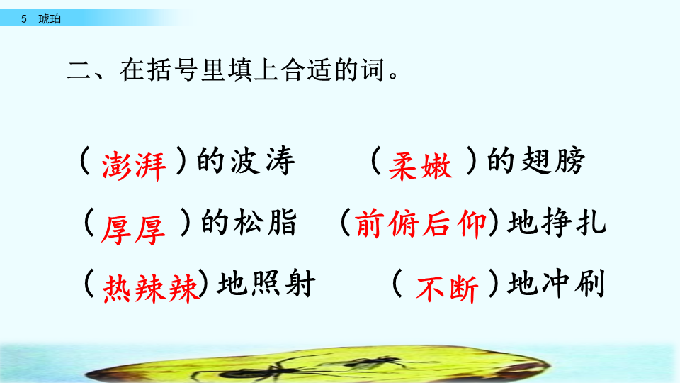 琥珀是怎么形成的四年级下册(四年级语文下册人教版《琥珀》课文讲解、课后习题参考答案)