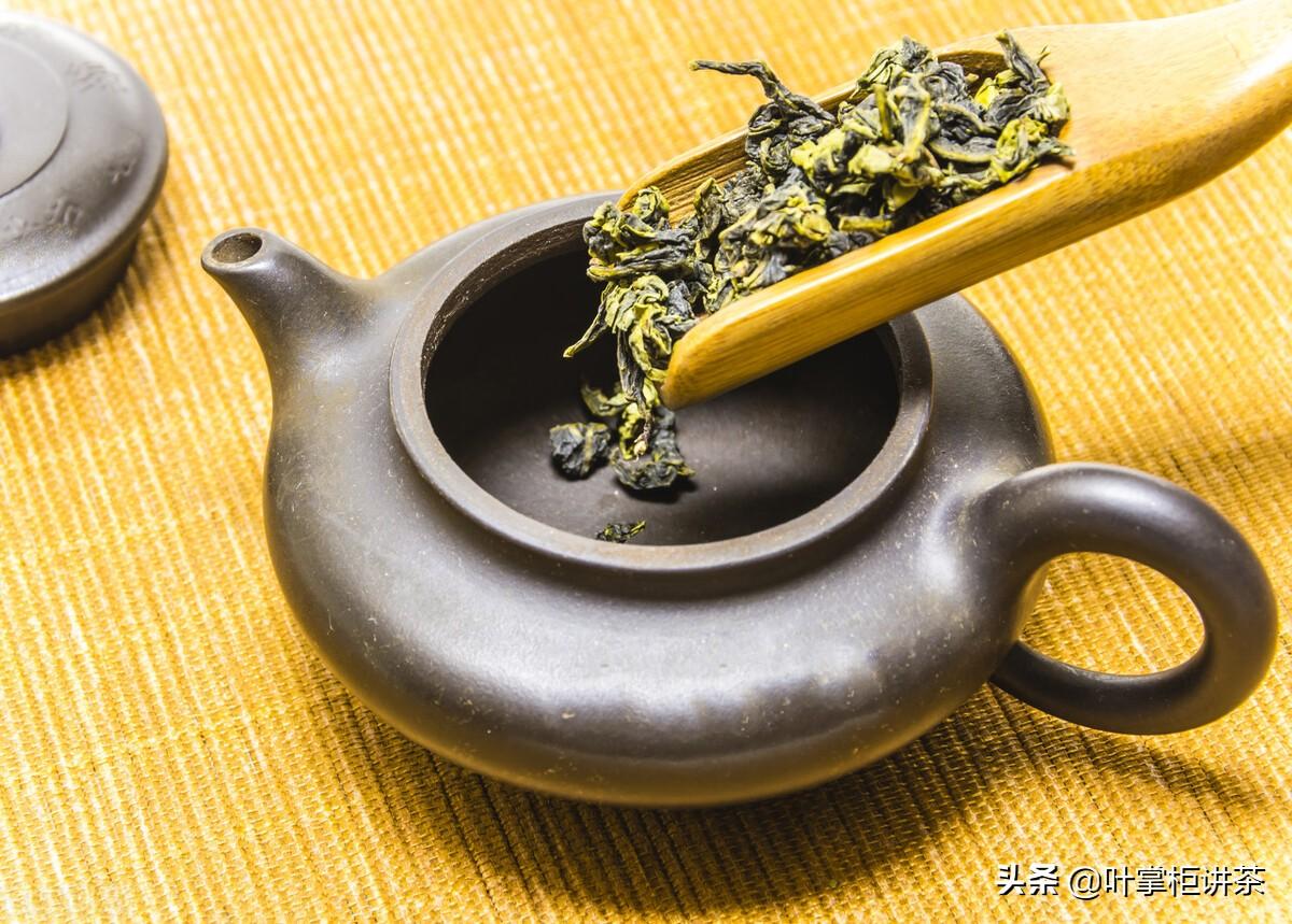 铁观音是什么茶？是介于绿茶与红茶之间的一种茶