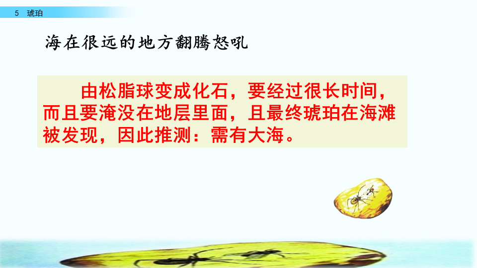 琥珀是怎么形成的四年级下册(四年级语文下册人教版《琥珀》课文讲解、课后习题参考答案)