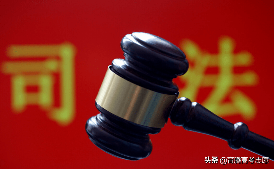 学法律要选什么学科（法学专业哪家强）