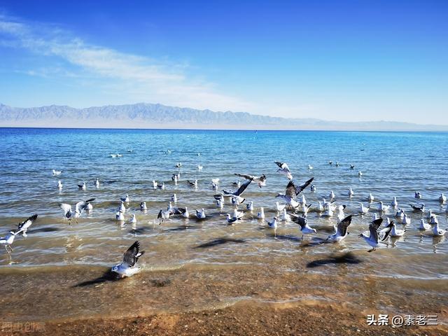 文学家的故事400，文学家的故事50字（女作家去做保姆——被训的保姆）