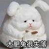 视频转换器免费转换（视频转换器免费转换软件）插图新简1