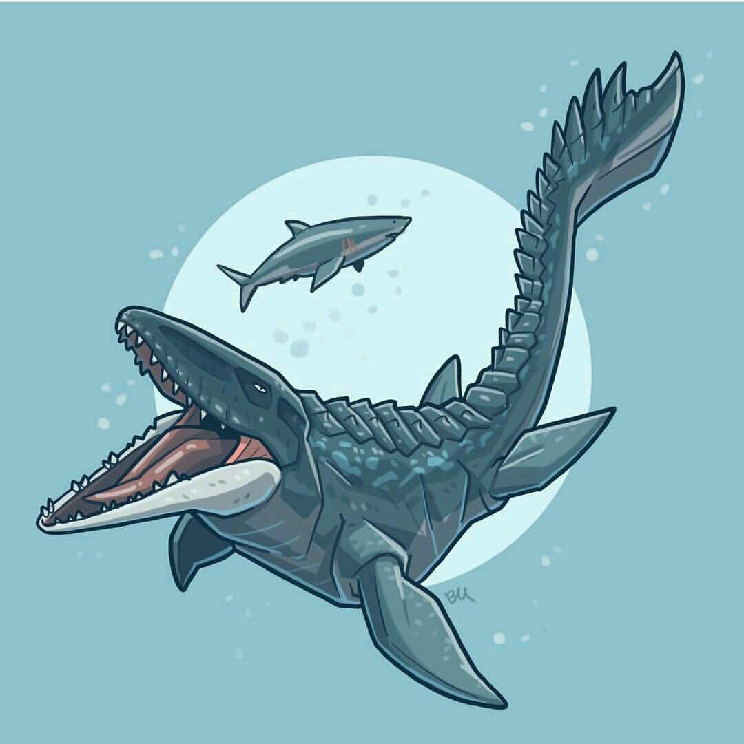 巨齿鲨仅排第二,第一名沧龙无敌的存在)