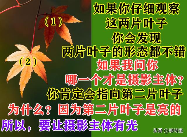 怎么拍照好看，怎么拍照好看姿势图片（照片不能“瞎拍”）