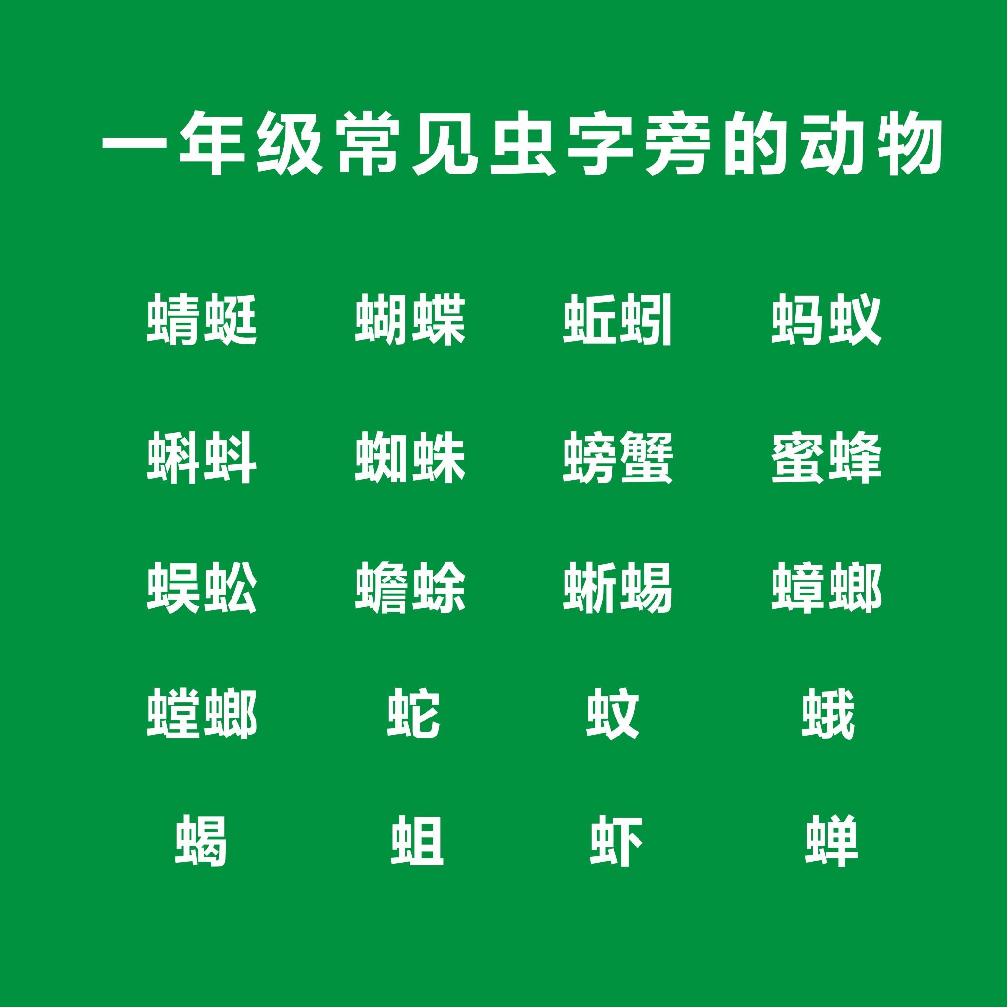 带虫字旁的动物名称有什么(一年级偏旁部首虫字旁的字,一年级虫字旁的