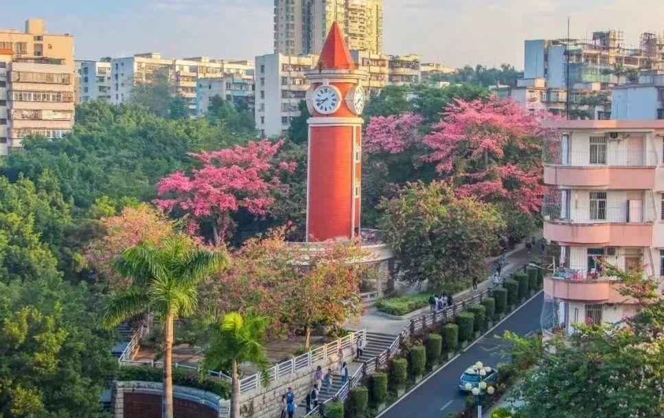 岭南职业培训学院（岭南师范学院）