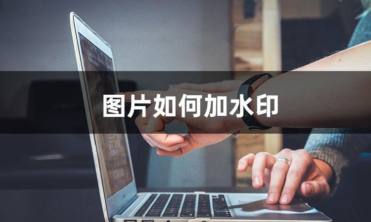 电脑如何给图片加水印（图片怎么用电脑加水印）插图新简1