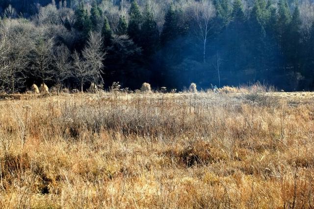 指南针怎么看，指南针怎么看方向图解（3名记者探险失踪8天）