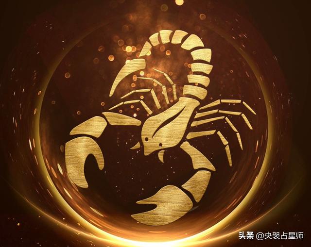 金牛座最喜欢哪个星座，金牛座最喜欢的星座是什么星座（还是天赐良缘牵手一生）