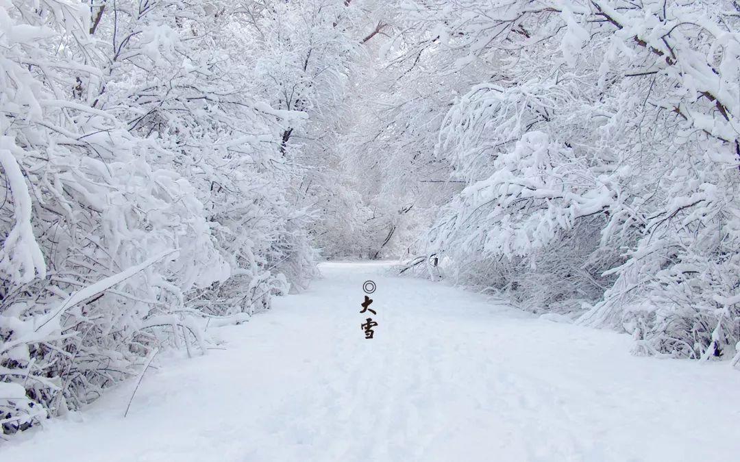 大雪节气的古诗词有哪些，5首关于大雪节气的古诗