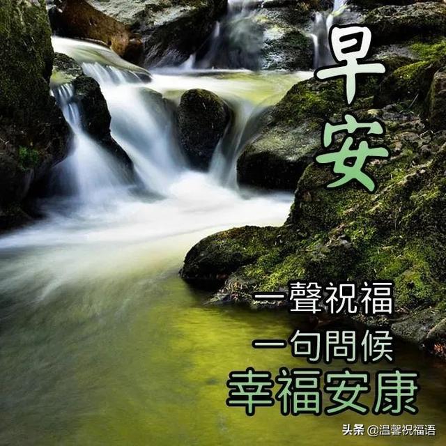 早安问候语大全，贴心的早安问候语大全（创意唯美亲人朋友早上好祝福语图片大全免打字）