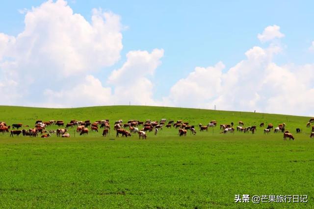 世界最大的草原，世界最著名的三大草原（面积是山东江苏两省之和）