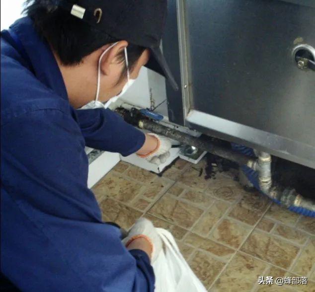 蟑螂是怎么产生的，蟑螂是怎么形成的（人送外号“小强”）