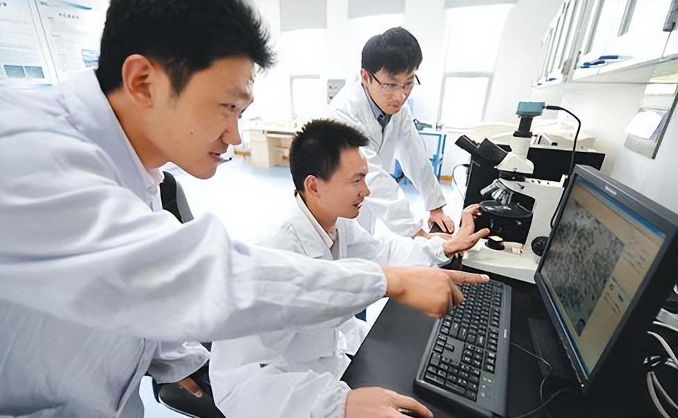 世界大学排名500强（2023世界大学排名有新变化）