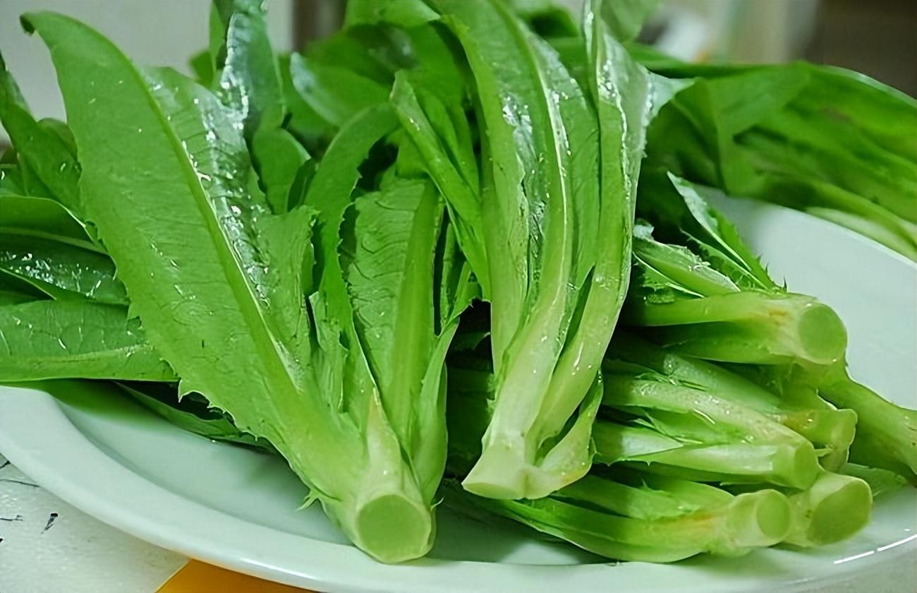 三种人少吃菠菜,谨慎食用油麦菜(了解为妙)