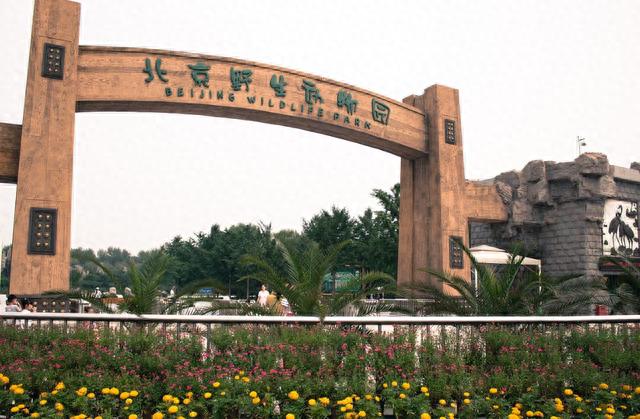 北京野生动物园：寓教于乐的动物世界