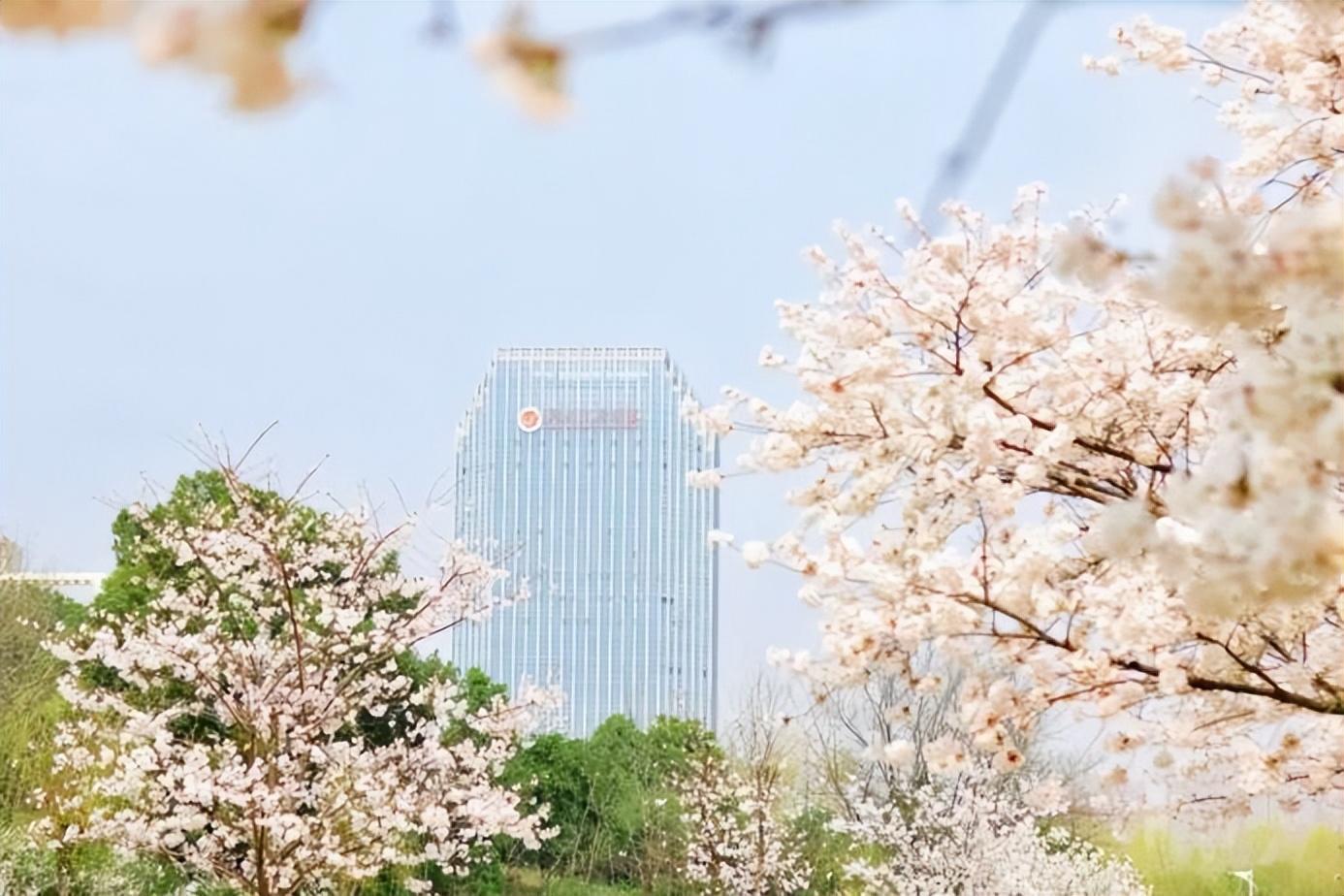 湖北省经济管理干部学院（林深处）