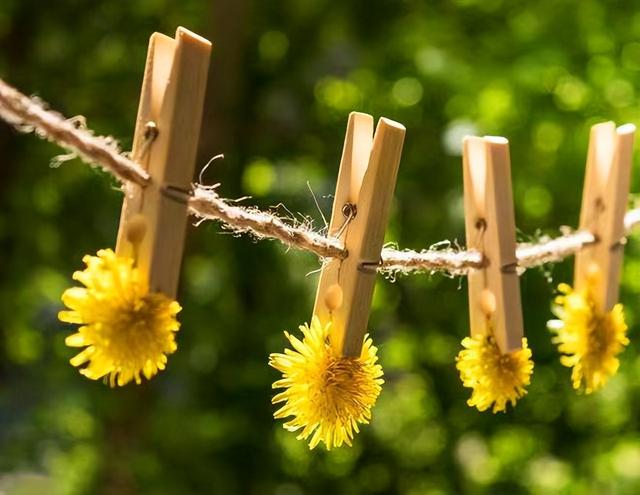 亲情指的是什么呢，亲情指的是什么呢英文（人到晚年才懂：什么是亲情）