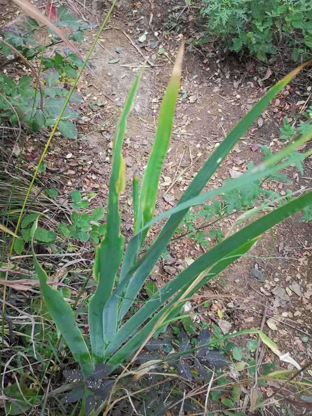 秦岭简单的爬山穿越线路，穿越秦岭子午大环线