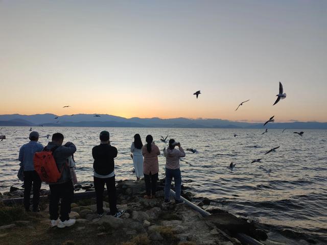 大理旅游攻略必去景点，自驾游大理旅游攻略必去景点（大理本地资深从业者推荐的大理必游的八景点）