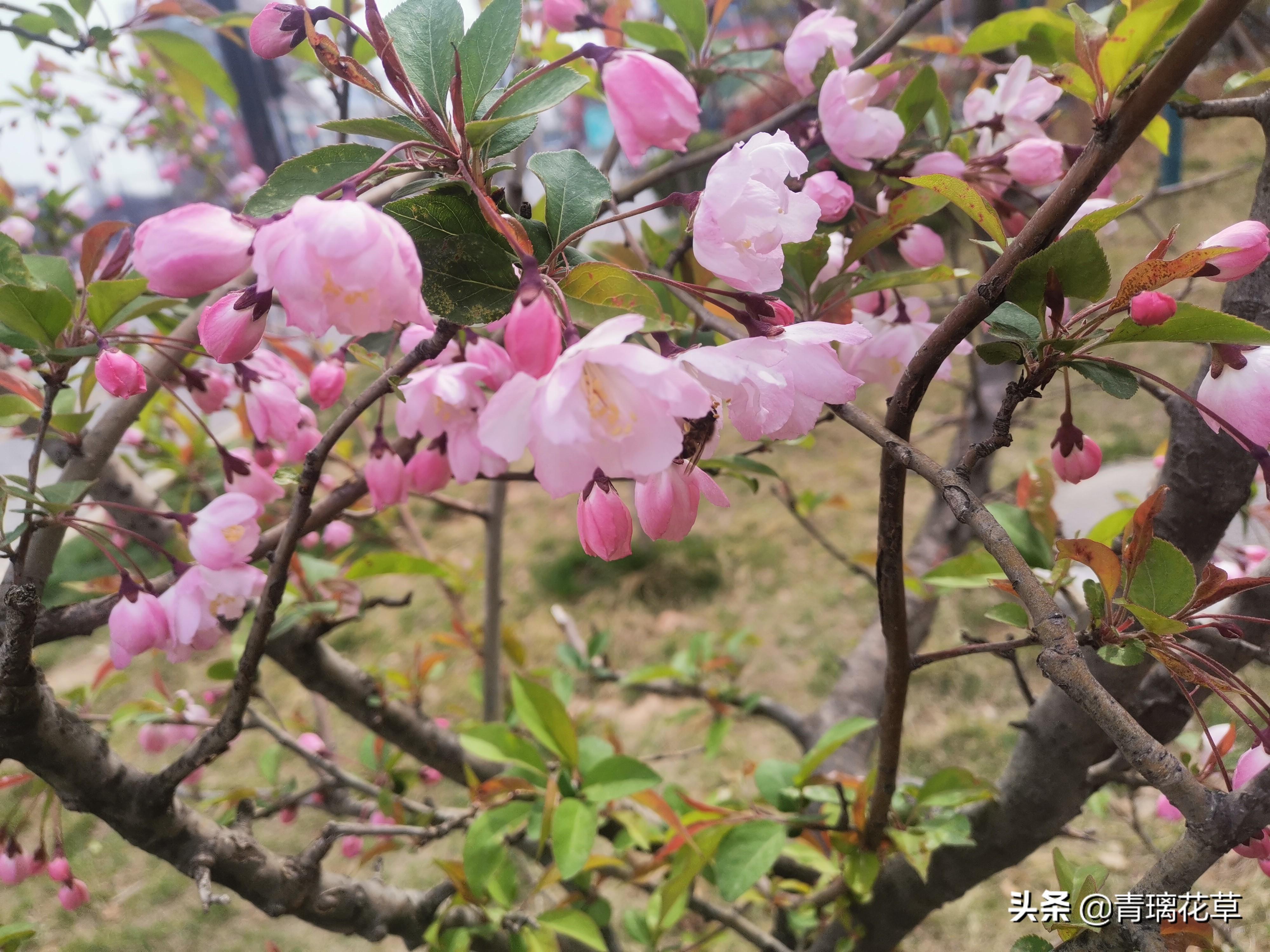 什么风水能够让感情事业更顺利 稳固感情风水