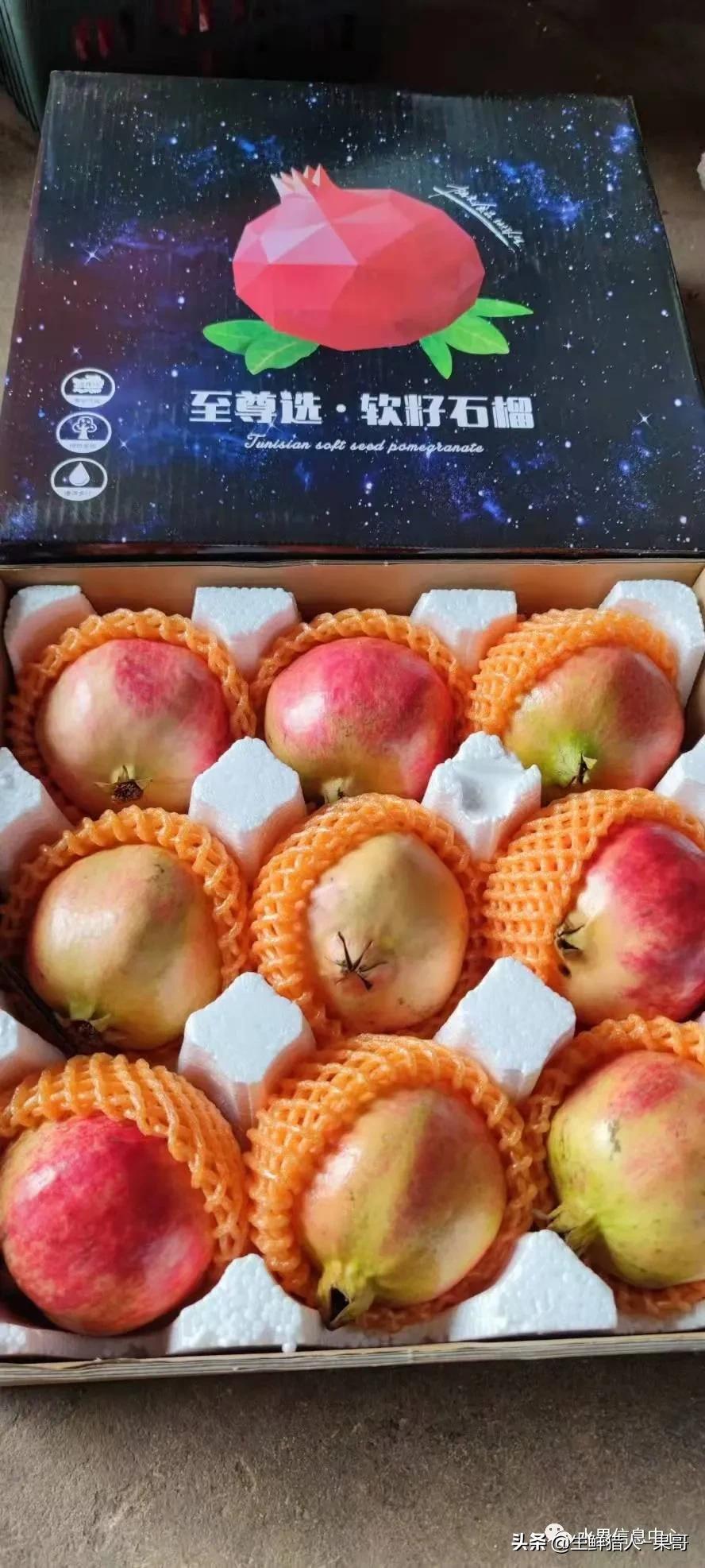 浆果是什么，浆果是什么软件（不同水果的不同包装<浆果篇>）