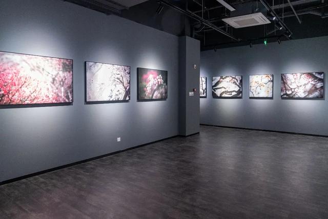 诚品书店大陆有几家，诚品书店网店（锦创书城：你非说它是一个书店）