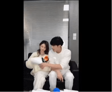 北美大灰狼是什么梗，北美灰狼为什么这么大（嘟嘴索吻、牵手搂抱、时刻黏在一起）