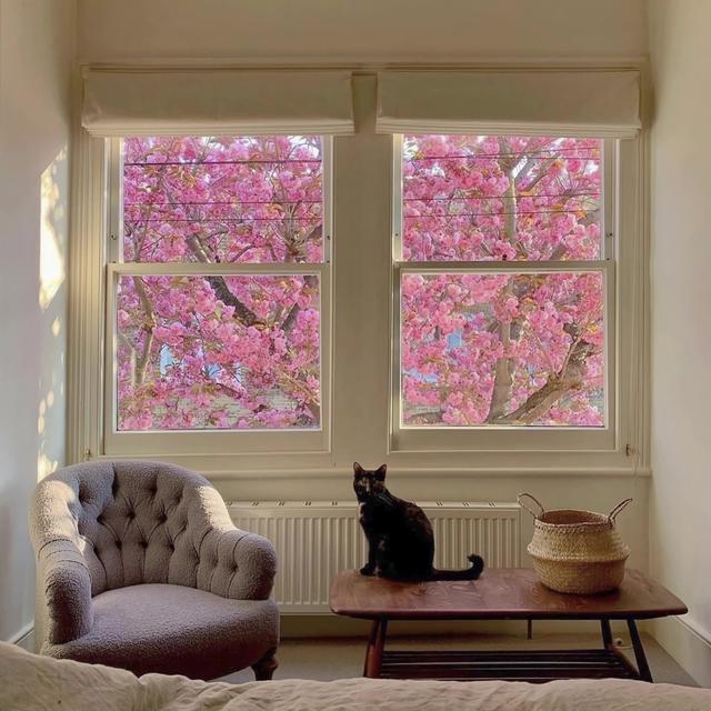 朋友圈图片，朋友圈图片折叠是怎么回事（分享一些治愈又个性的朋友圈背景图）