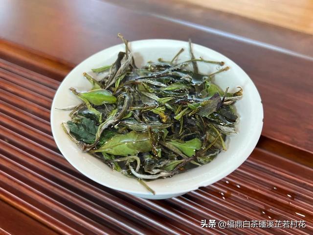 福鼎白茶产区磻溪，带你了解白茶优质产区，磻溪镇