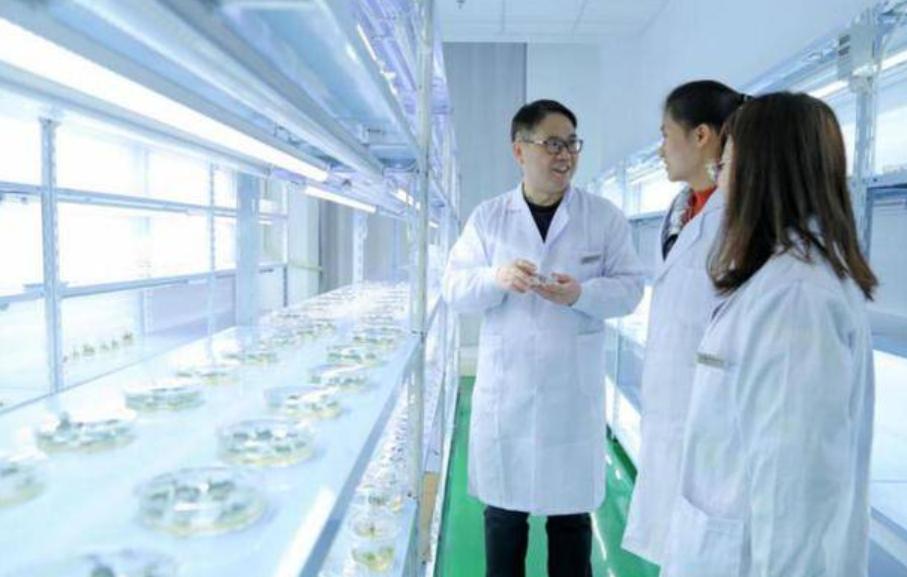 俄罗斯种子断供,中国种子会不会面临“卡脖子”?用数据来说话-图4