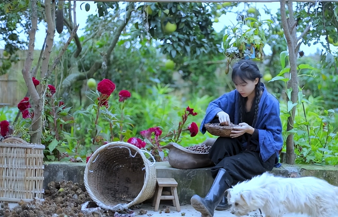 重看"李子柒"庭院,发现一个惊人的秘密 - 郝囷科技