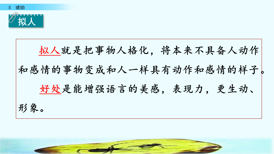 琥珀是怎么形成的四年级下册(四年级语文下册人教版《琥珀》课文讲解、课后习题参考答案)