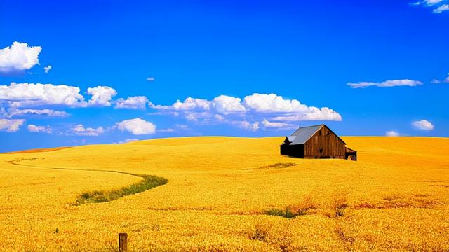 十二星座谁最聪明，12星座哪个星座最聪明（十二星座中最聪明的星座）