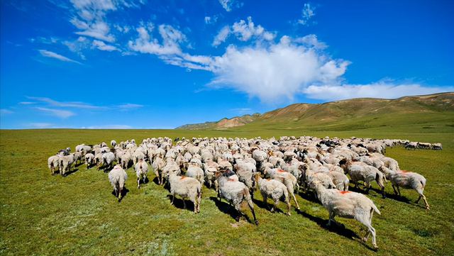 宁夏的全称是什么名字，宁夏的全称是什么意思（中国五个少数民族自治区之一）