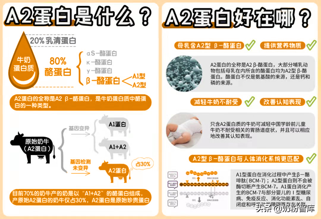 君乐宝奶粉怎么样，君乐宝奶粉到底怎么样（伊利QQ星、君乐宝小小鲁班等近30款给你答案）