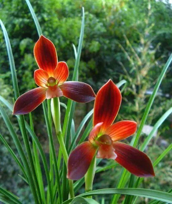 莫等闲下一句，偷得浮生半日闲,人间至味是清欢（永远不要失去发芽的心情）