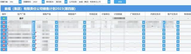 贵州瓮福公司，全面预算体系+报表自动化