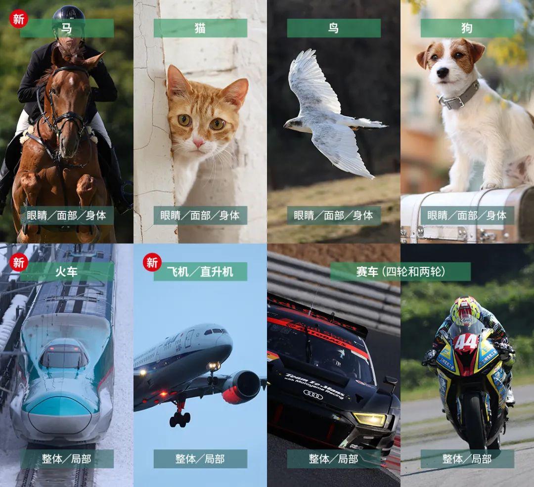 号称“小R6II”的万元级全画幅微单EOS R8评测报告