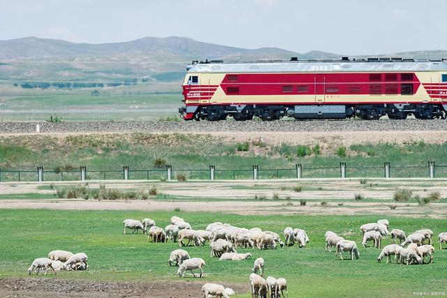 草原旅游去哪里好草原旅游胜地，草原旅游胜地有哪些（来这个内蒙最美的草原吧）