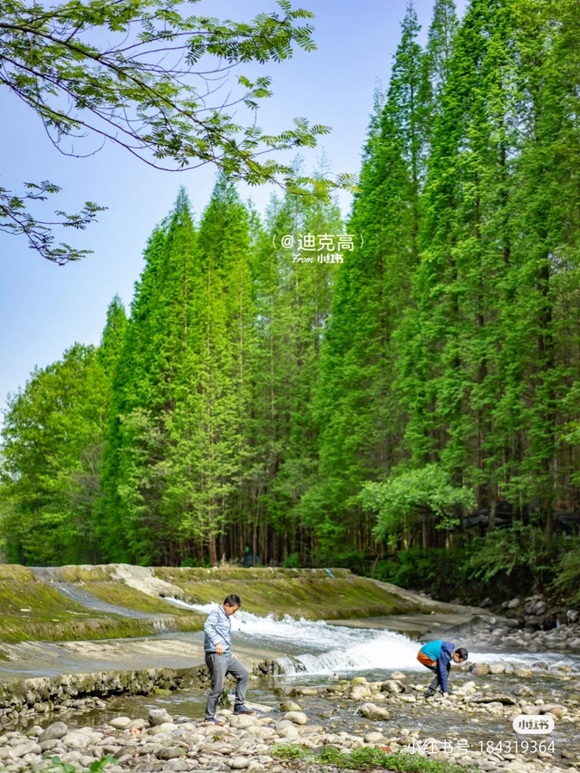 仙女棒可以带上高铁吗，仙女棒（成都近郊这9个烧烤野餐地推荐）