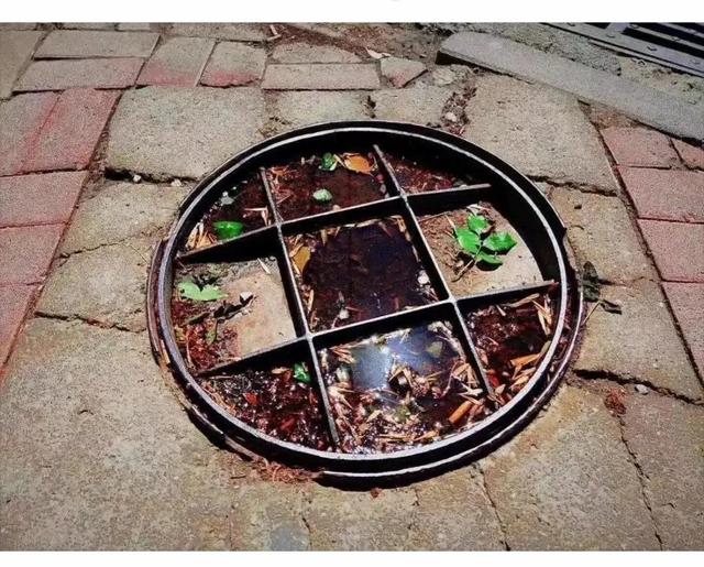 高情商回复别人的羡慕，怎么幽默回复别人羡慕（“男生最顶不住女生叫他什么）