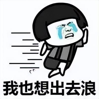 下载页面视频的插件（下载网页中视频的插件）插图新简