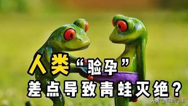 来月经证明没怀孕吗（人类验孕）