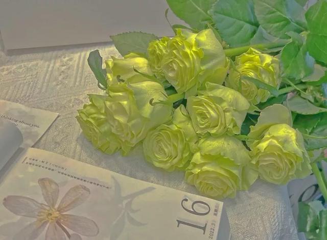 一朵红玫瑰花代表什么意思，红玫瑰代表什么意思（不同颜色玫瑰花的花语）