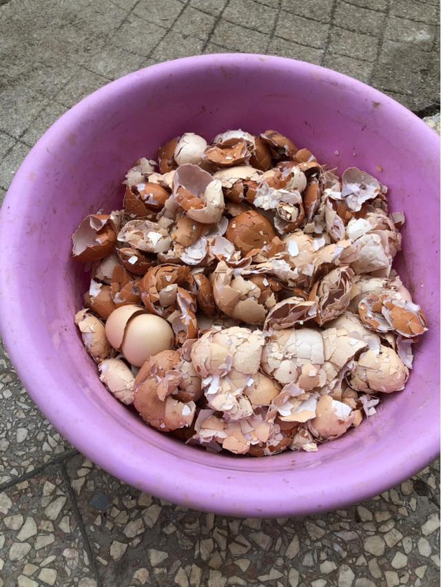 氮磷钾肥有哪些，氮磷钾肥有哪些化肥（氮磷钾3种肥不用买）