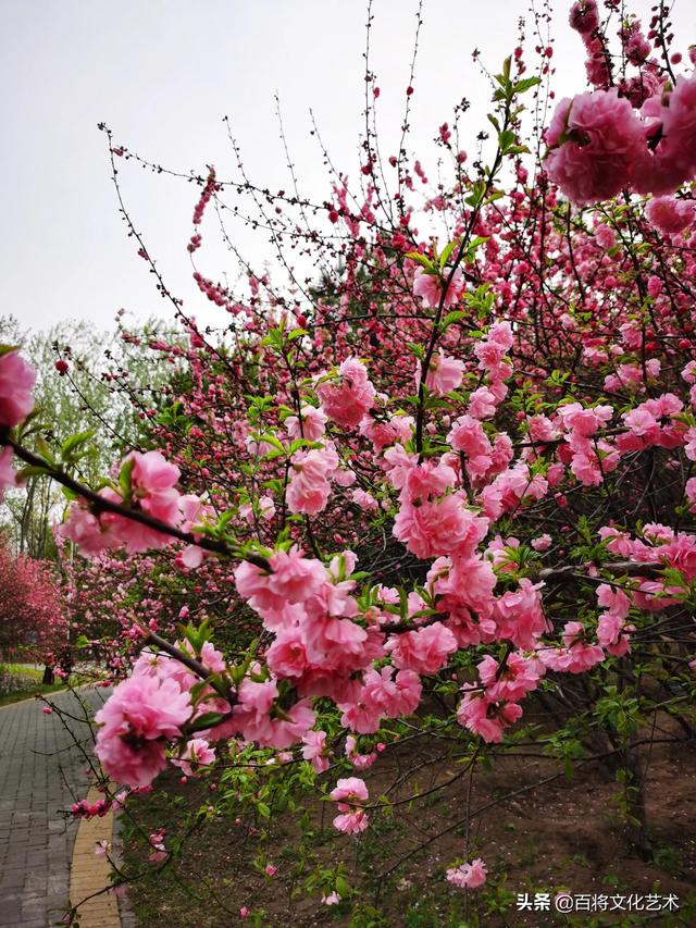 劳动最光荣是谁的名言，劳动最光荣是谁说的（人民创造历史，劳动开拓未来）
